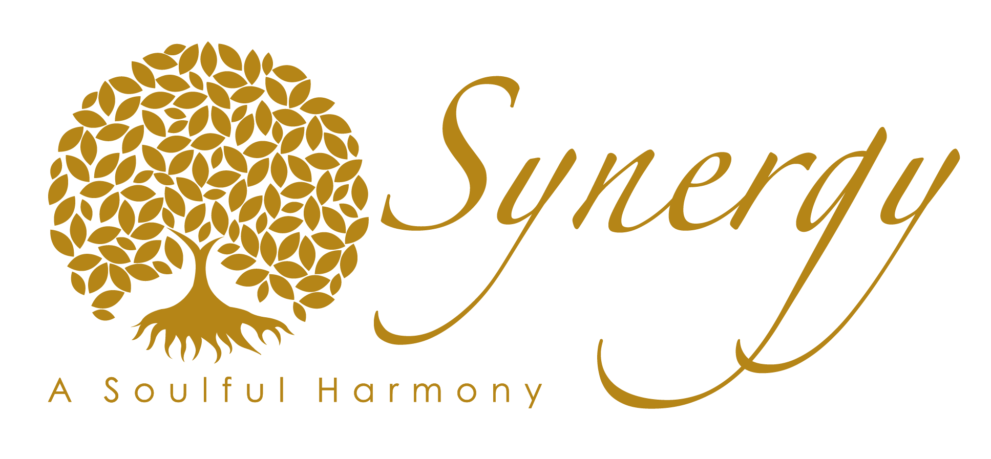 Synergy by Raviraj Group